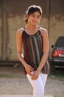 Actress Praneetha Stills